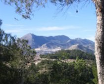 CORTIJO LA ESTRELLA