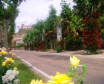 EL RINCON DEL AGUA
