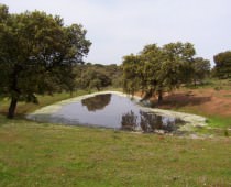 CORTIJO DE LA SERRANA