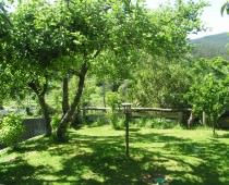 FINCA MANG�EIRO