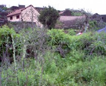 POBLADO JIRDANA