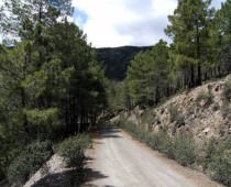 LA VEREDA DE PUEBLA