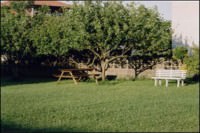 CASA LOLA