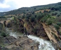LA VEREDA DE PUEBLA