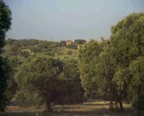 CORTIJO DE LA SERRANA