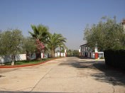 LA AYALA