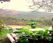 EL RETIRO DE SOMAO