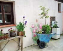 CASA LINDO HUESPED