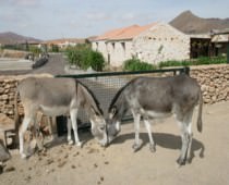 AGROTURISMO LA GAYRIA