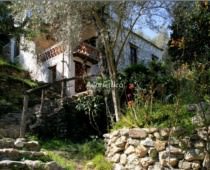 EL BARRANCO