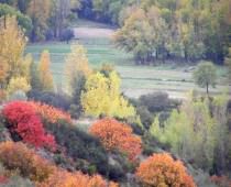 APARTAMENTOS RURALES EL MOLINO