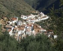 LA CASA AL REVES