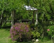 FINCA MANG�EIRO