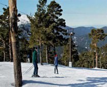 LA TORRE DE CERCEDILLA
