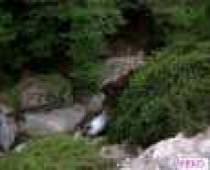 FUENTE OCHO CA�OS