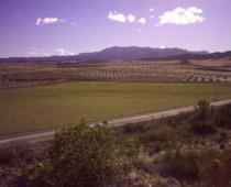 CORTIJO LA SE�ORITA