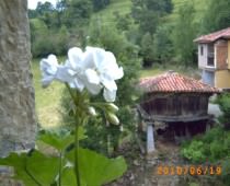 APARTAMENTOS RURALES LA CAVIANA