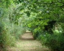 FINCA A COUTADA