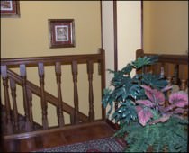 HOSTERIA MIGUEL ANGEL