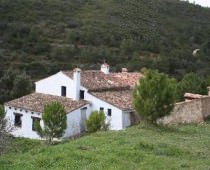 BENALAZ CASAS RURALES