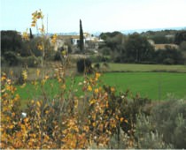 Can Xicu Menut casa rural de Ventall�