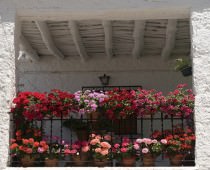 CASA PUERTA