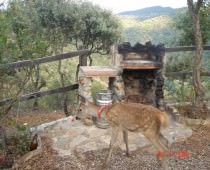 CASA RURAL LOS BOGANTES