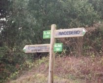 EL ENCINEDO