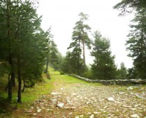 LA TORRE DE CERCEDILLA