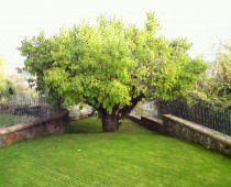 CASA RURAL EL VALLEJO