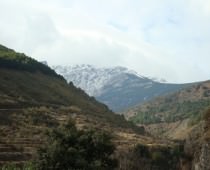 CORTIJO LORENZO