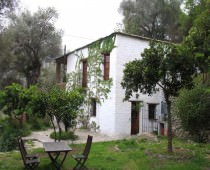 EL BARRANCO