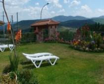 APARTAMENTO EL OLMO N�2