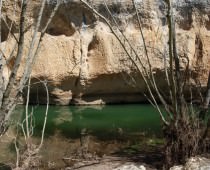 CA�ON DE RIO LOBOS II