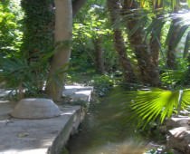 EL RINCON DEL AGUA
