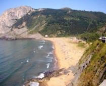 ARBOLIZ