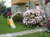 HOSTERIA EL FARO