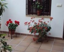 APARTAMENTOS RURALES MOLINO ALMONA