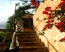 SA CASA ROTJA