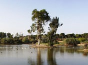 CA�ADA DE LOS PAJAROS