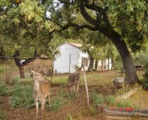 CASA RURAL LOS BOGANTES