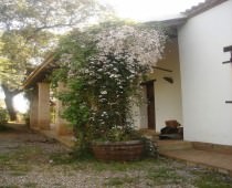 CASA RURAL LOS BOGANTES