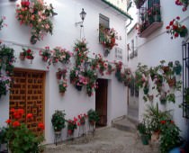 CASA BA�OS DE LA VILLA