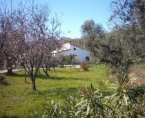 CASA RURAL EL LLANO