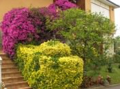 HOSTERIA EL FARO
