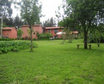 CA EL TORAL