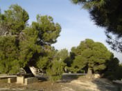 CASA CUEVA LA HORNACINA
