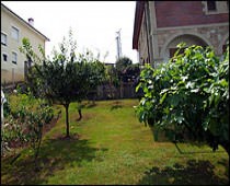 CASA MAYI