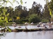 CA�ADA DE LOS PAJAROS