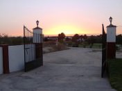 LA AYALA